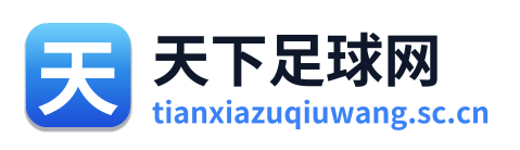 天下足球网 Logo
